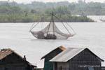 Net flower on the river, Phumi Chhlong, Cambodia.