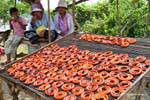 Stall fried snake or eel, Kampong Cham, Cambodia.