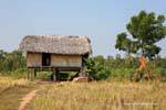 Khmer traditional house, NH7, Cambodia.