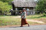 Capita bamboo Snuol region, Cambodia.