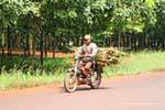 Agricultural transport on two wheels, NH7 to Snuol, Cambodia.