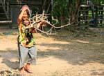 Laugh of the Cambodian carrying wood, Roka Kandal Kracheh (Kratie), Cambodia.