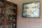 Exhibition of skulls of victims of the genocide, Tuol Sleng, Phnom Penh, Cambodia.