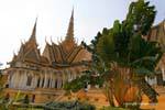 Traveler's tree in the garden of the Royal Palace, Phnom Penh, Cambodia.