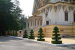 Topiary Alignment, Royal Palace, Phnom Penh, Cambodia.