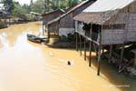 Swim in the yellow water, Siem Reap, Cambodia.