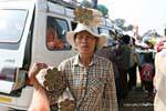 Saleswoman rolls surely containing fish, rice and spinach, Skun, Cambodia.