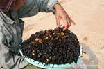Eating Spiders are good for health, Skun (Skuon), Cambodia.