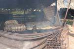 Smoked fish from the Tonle Sap area Kampong Luong, Cambodia.
