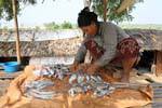Preparation of fish skewers, Kaoh Chen, Cambodia.
