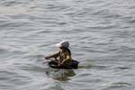 Girl embarked on a small boat, Tonle Sap, Cambodia.