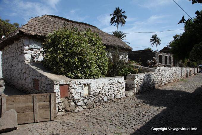 Santiago, Cidade Velha, rushed Banana - Cape Verde