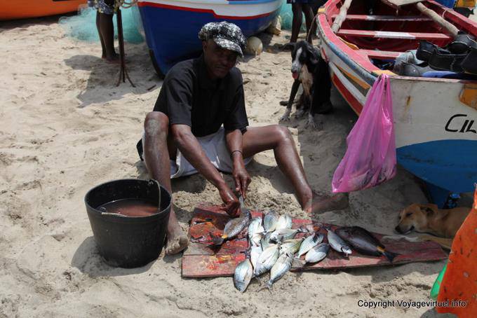 Santiago, Tarrafal, scaling fish - Cape Verde