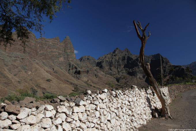 Santo Antão, Cha de Igreja, wall and dead tree - Cape Verde