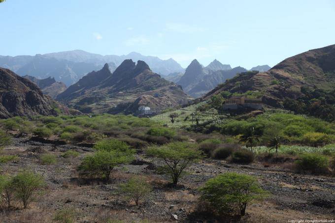 Santo Antão, Cocculi - Cape Verde