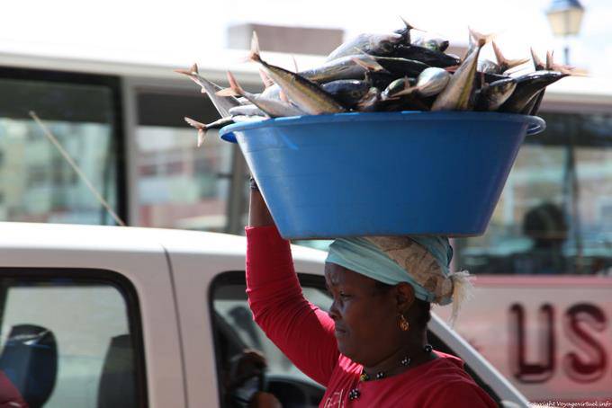 São Vicente, Mindelo, fish on the head - Cape Verde