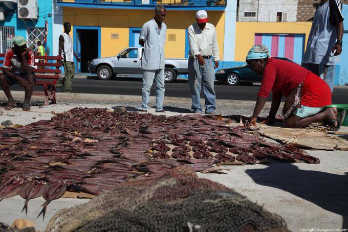 São Vicente fishing port of Mindelo, fish drying - Cape Verde