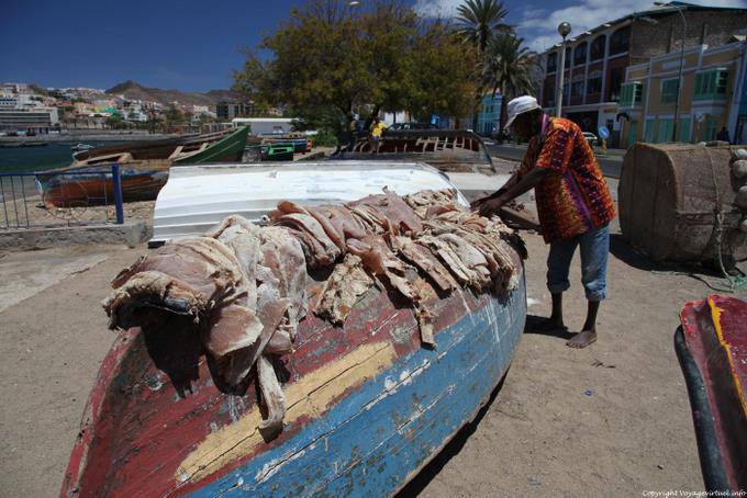 São Vicente, fishing port of Mindelo, drying bow - Cape Verde