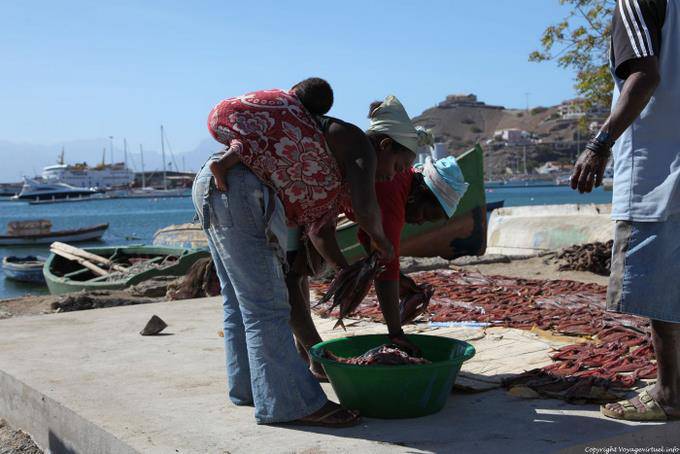 São Vicente, Mindelo fishing port, fish trio - Cape Verde