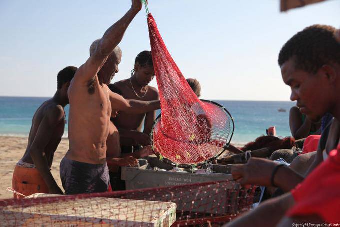São Vicente, Sao Pedro, fishing back in the trap - Cape Verde
