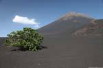 Fogo, Chã das Caldeiras, pozzolan Sea, Cape Verde.