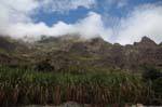 Santo Antão, Paúl, mountain sugarcane, Cape Verde.