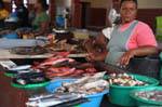 Selling fish in São Vicente, mercado de Peixe Mindelo, Cape Verde.