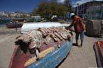 São Vicente, fishing port of Mindelo, drying bow, Cape Verde.