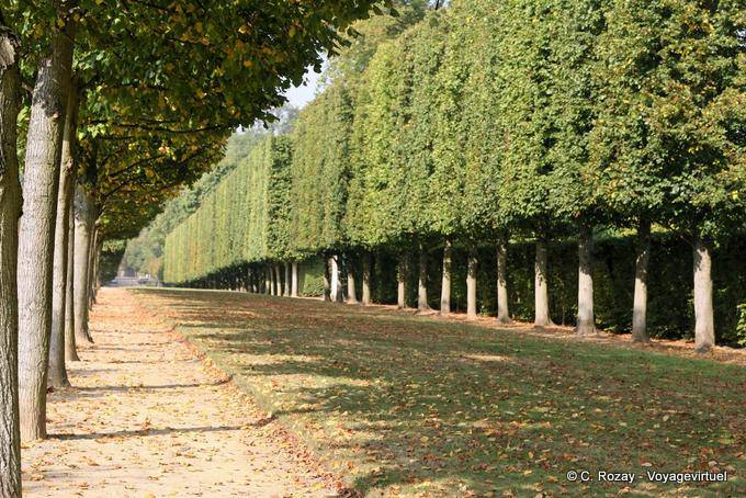 The driveway of Bacchus and Saturn, Versailles