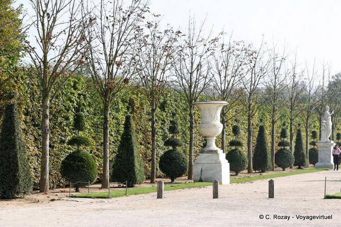 Park, consisting went with topiaries, Versailles