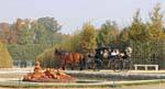 Carriage, and Ceres Fountain, by Th. Regnaudin Versailles