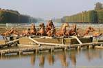 The Apollo Fountain in front elevation, Versailles