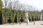 Park, consisting went with topiaries, Versailles
