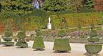 Park, funny topiaries, Versailles