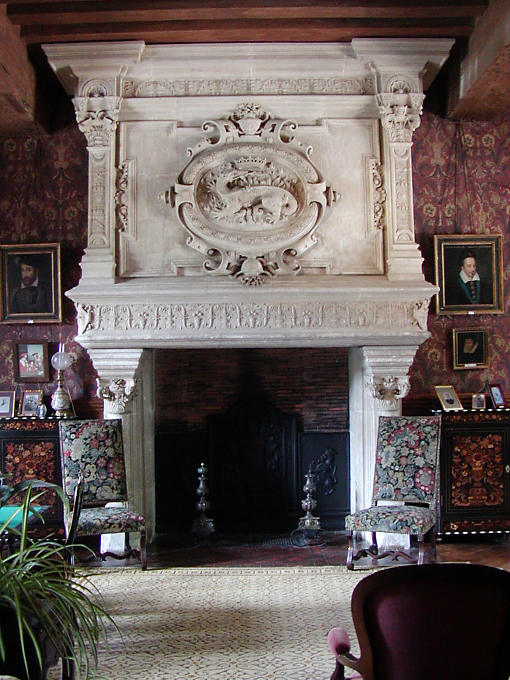 Monumental fireplace adorned with the Salamander Francis I, Castle Lounge Azay-le-Rideau, France.