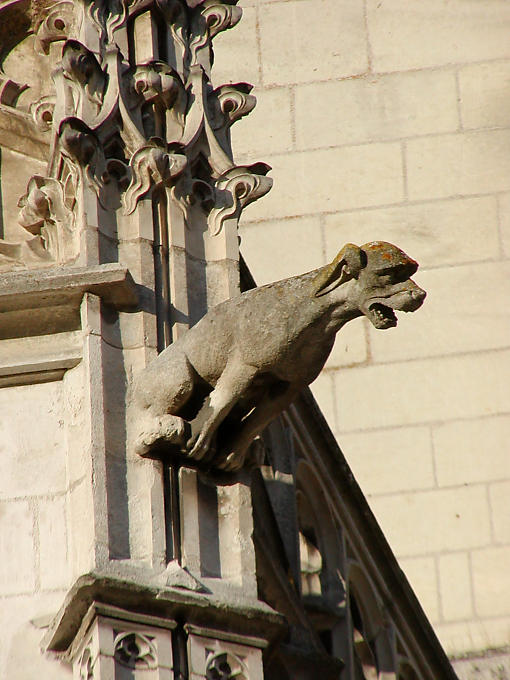 Gargoyle Blois cathedral, France.