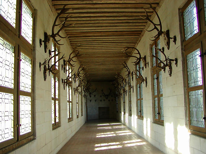 Hunting trophies, Chambord, France.