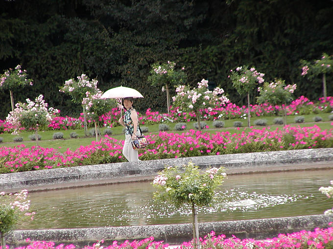 Walk in the Garden of Catherine, Chenonceau, France.