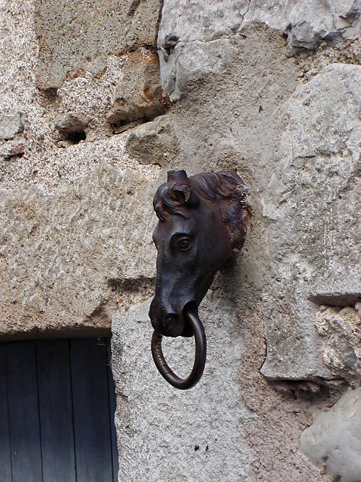 Horse attaches to a wall, Vézelay, France.