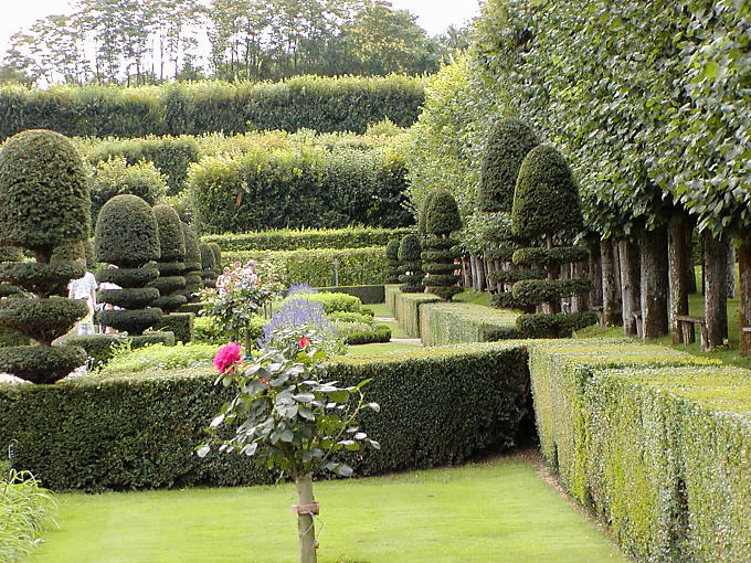 Between garden and simple maze, Château de Villandry, France.