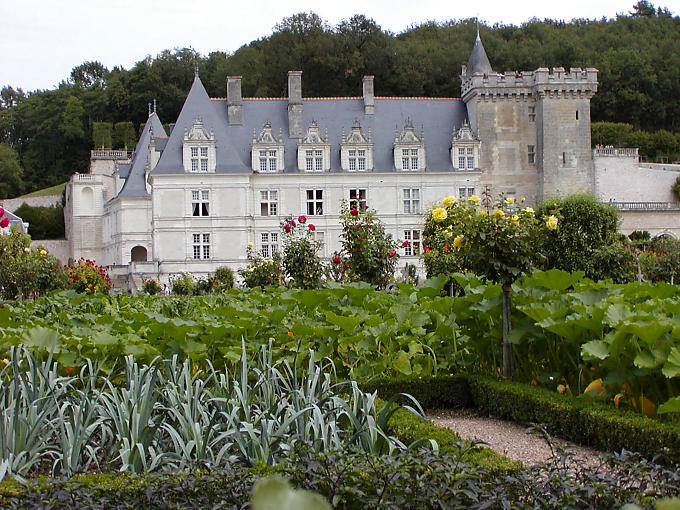 Color matching, kitchen garden of the Chateau de Villandry, France.