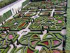 Garden ornamental, love gardens, Villandry, France.