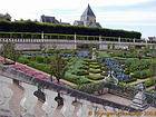 Potager monastic, Villandry, France.