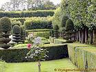 Between garden and simple maze, Château de Villandry, France.