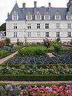 Cabbage and tomatoes between the roses, Villandry, France.