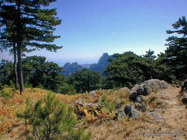 Corsican maquis and mountain, Corsica