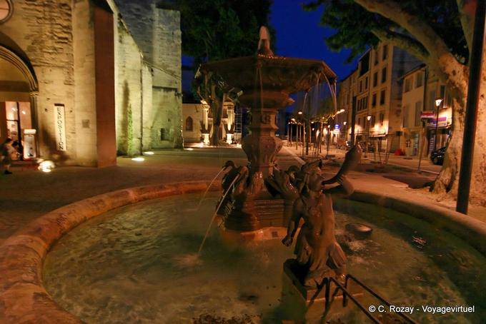 Fountain night view in Avignon Street, Provence, France