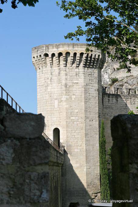 Dogs turn to the St. Benezet Bridge, Avignon, Provence, France
