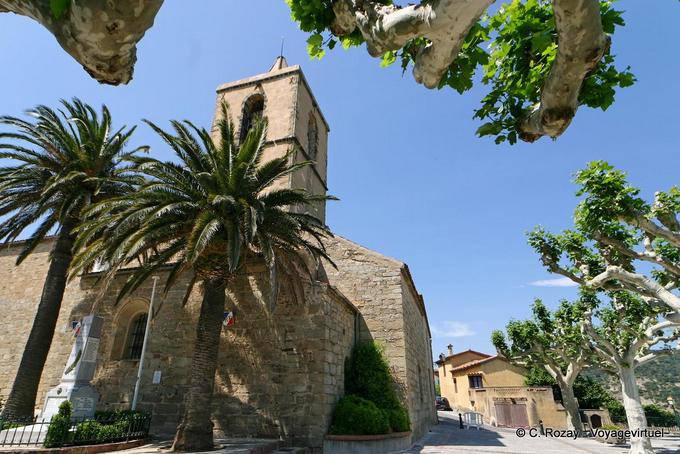 Grimaud, palm trees on the place of the Church, Provence, France
