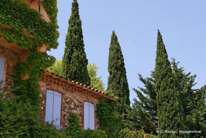 Grimaud, cypress and old stones, Provence, France